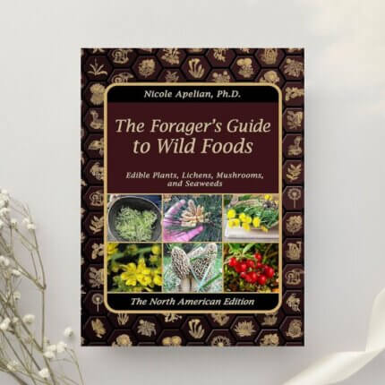 The Forager's Guide to Wild Foods by Nicole Apelian (2021)