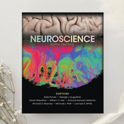 Neuroscience 6th Edition by Purves, Augustine, Fitzpatrick, Hall et al. (2017)